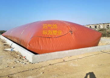 Latest company case about High-Density Swine Farming in North Carolina – The "Odor vs. Growth" Conflict