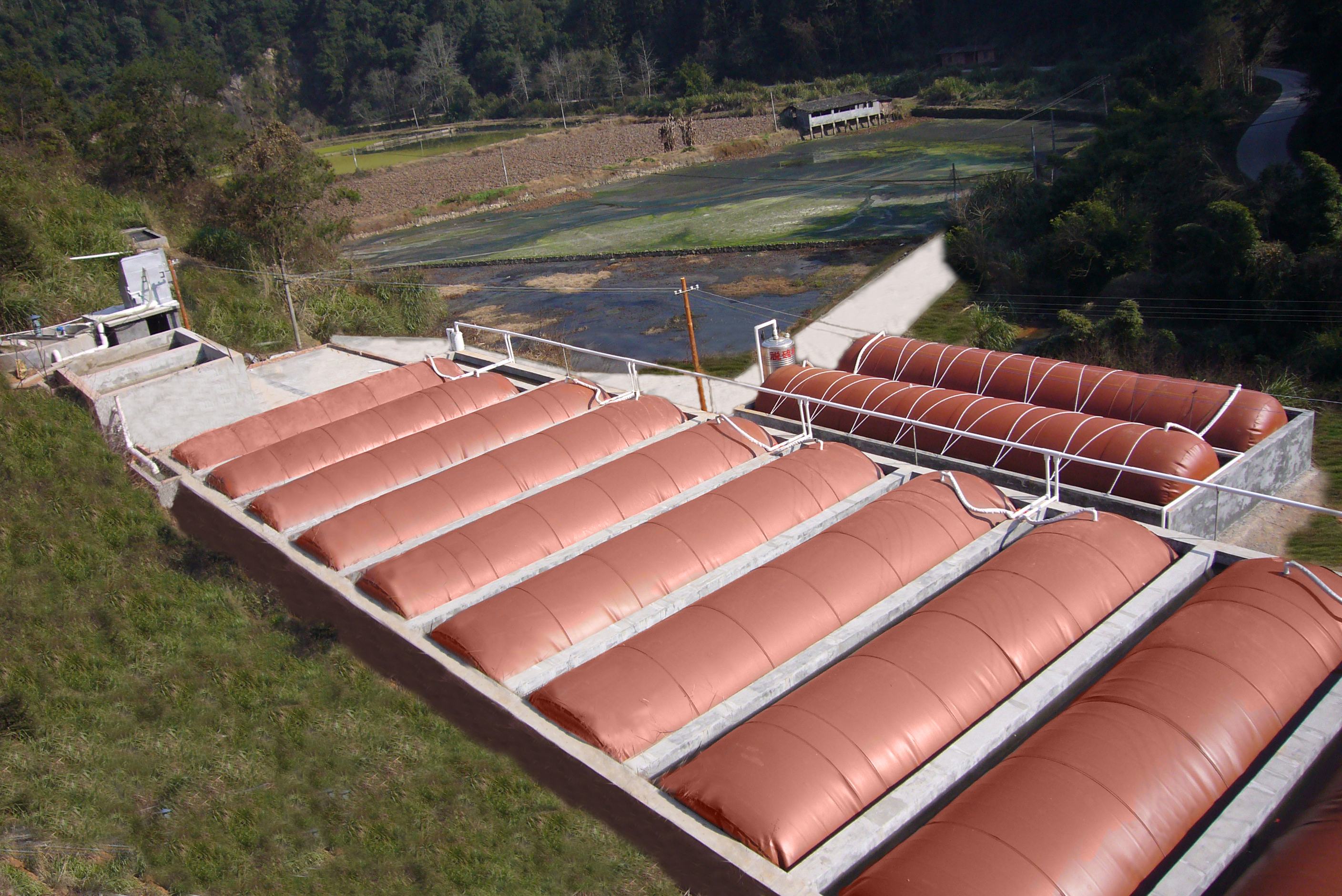 Latest company case about The "Closed-Loop" Urban Brewery in the Pacific Northwest
