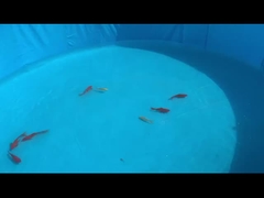 لوله فولادی گالوانیزه در فضای باز PVC استخر ماهی پرورش استخر آبی دایره ای برای مزارع خانوادگی